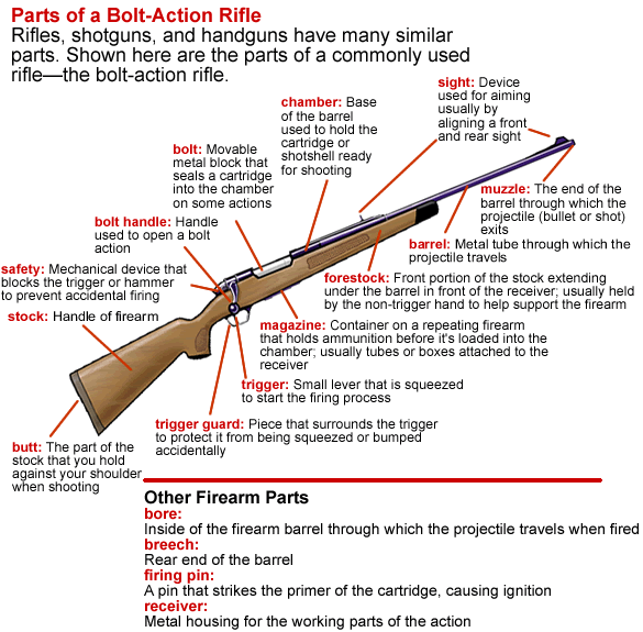 Glossary of Basic Firearm Terms